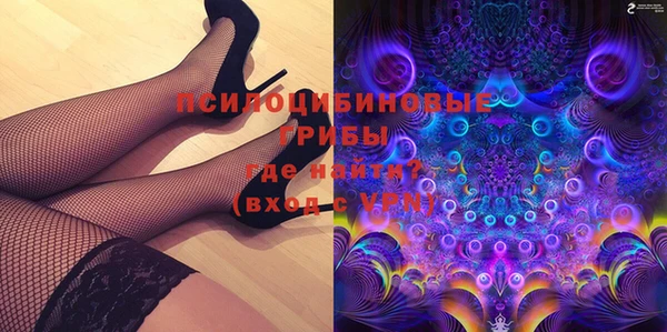 шишки Нягань
