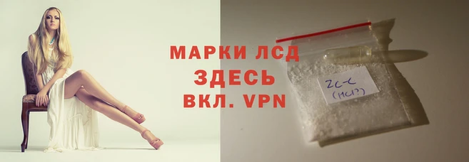 круглые Магас