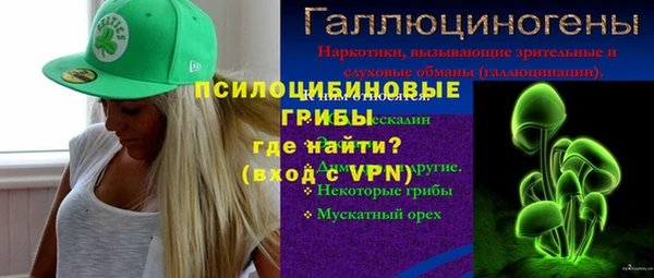 спиды Майский