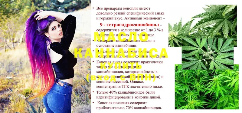 цена наркотик  Хадыженск  ТГК THC oil 