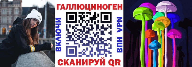 Псилоцибиновые грибы Psilocybine cubensis  Хадыженск 